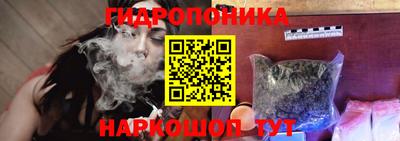 ешки Будённовск