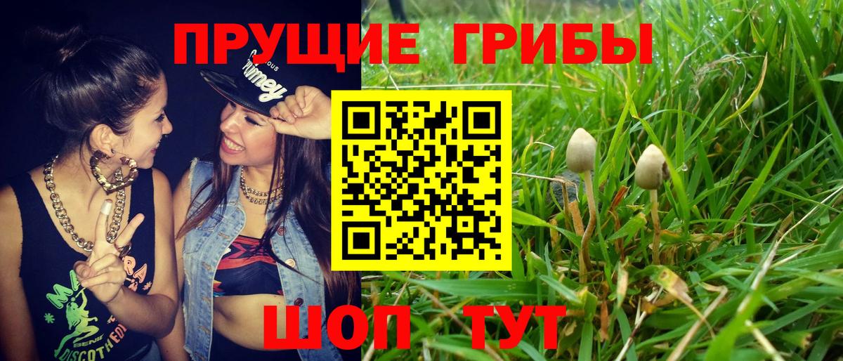 Галлюциногенные грибы ЛСД Югорск